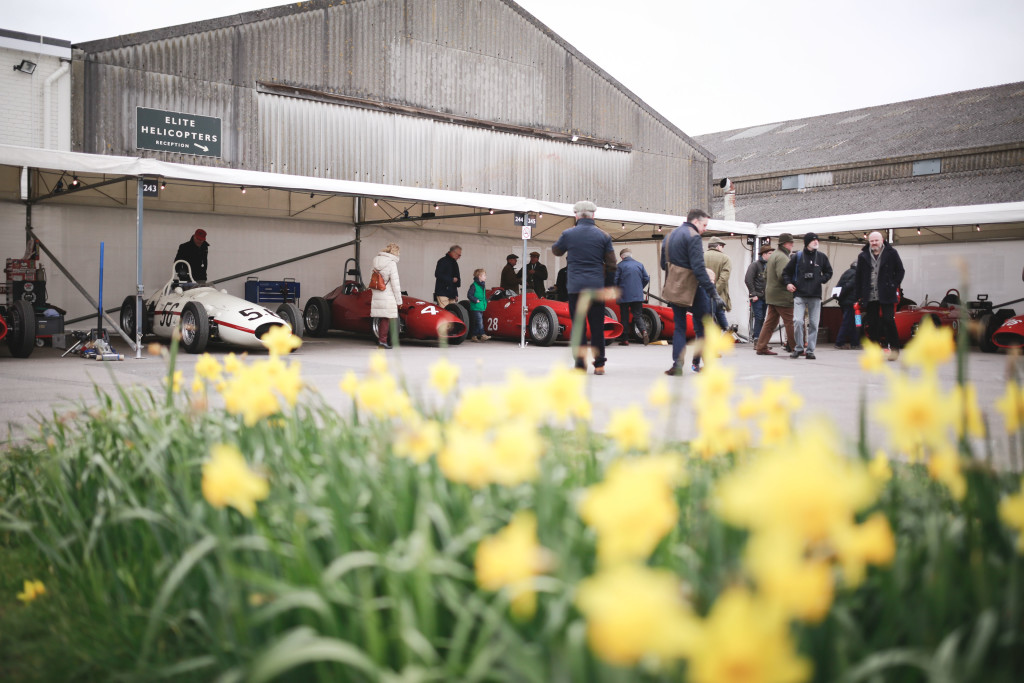 250F_paddock_daffs_comp